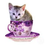 Kitty in a Cup